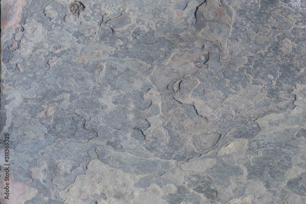 Naklejka premium concrete texture background 