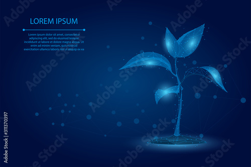 Abstract mash line and point plant sprout ecological abstract concept. Save planet nature environment grow life eco polygon triangles low poly vector illustration