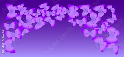 Lilac butterflies on a dark purple background © Volnnata