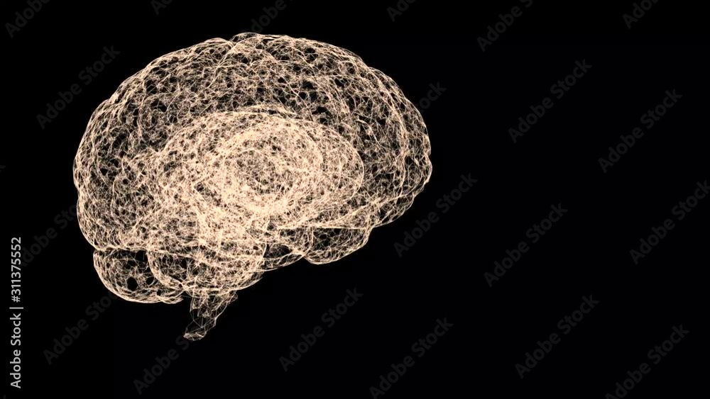 Close up video of human brain looking to be formed of spider web floating over black background. Close up video of human brain looking to be formed of spider web floating over black background.