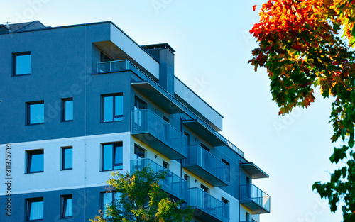 Facade of modern apartment house copy space autumn tree reflex
