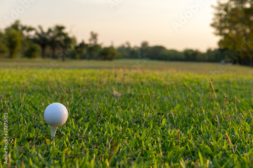Close up golf ball woman putting golf ball in hole tee with club in golf course on evening on time for healthy sport.   Lifestyle and Sport Concept