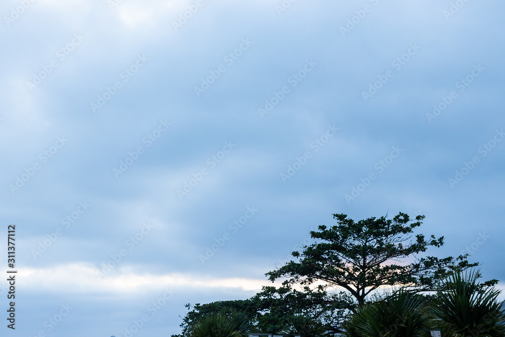 Obraz premium tree and blue sky