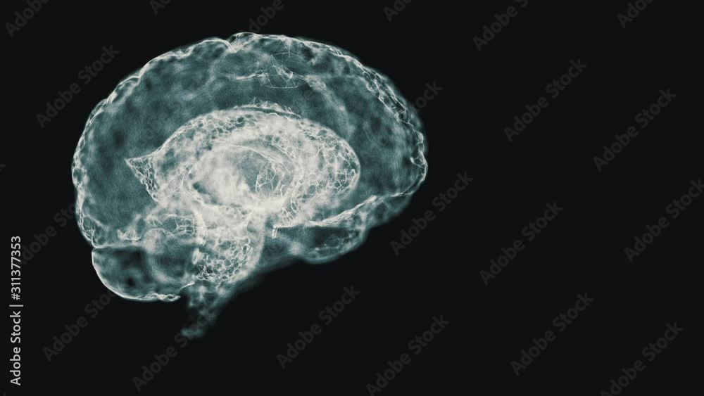 Concept of human intelligence. Abstract white model of human brain on