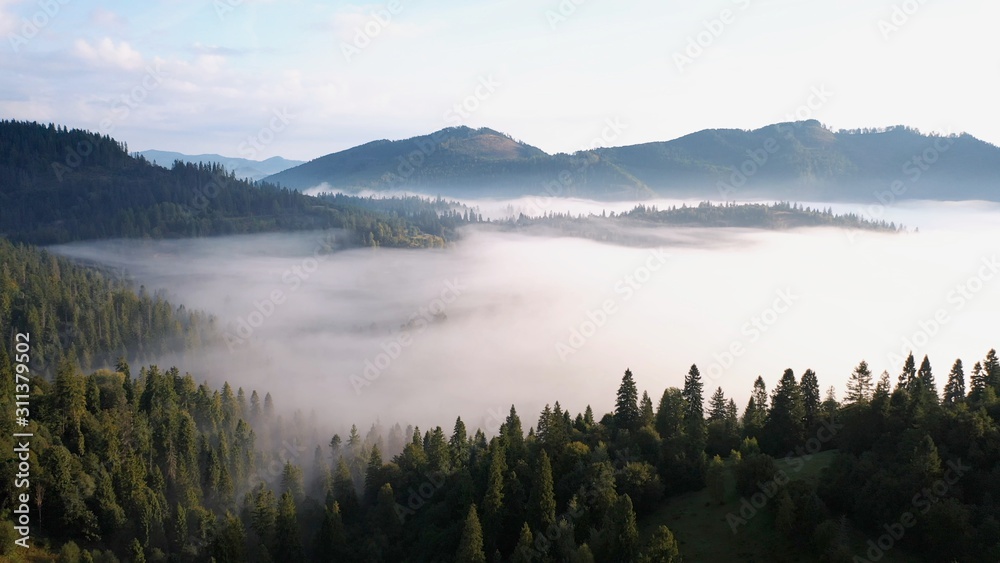 Aerial view of colorful mixed forest shrouded in morning fog on a beautiful autumn day