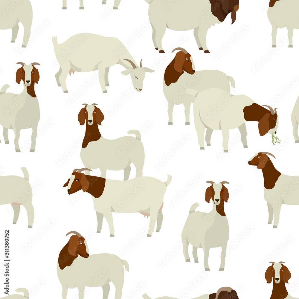 Farming today White & Brown Boer goats Vector illustration Seamless pattern