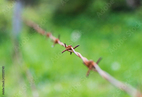 Selective focus photo of barbed wire fence in countryside © rastkobelic