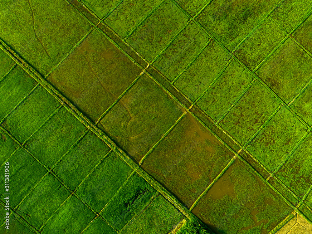 Rice Terrace Aerial Shot. Image of beautiful terrace rice field.
