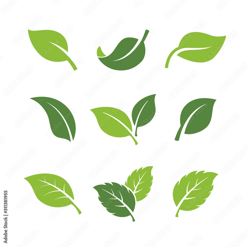 set of green leaves element vector icon. green leaf vector symbol