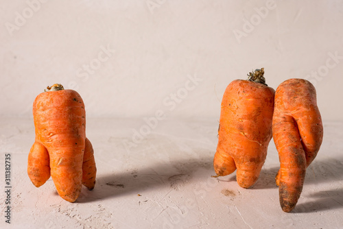 ugly vegetables, carrots on a light background.funny monster carrot The concept of non-waste production in the food industry