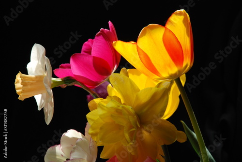 Springtime flower bouquet isolated on black background. Backlit flowewr bouquet photo