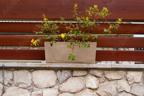Street flowerpot stands on a stone wall