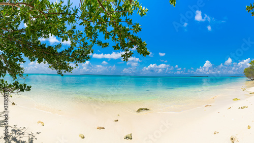 Fototapeta Naklejka Na Ścianę i Meble -  Beautiful Beach Funadhoo Island in Maldive Colorful Sky and sea with trees amazing beach scenery best place to travel in the world
