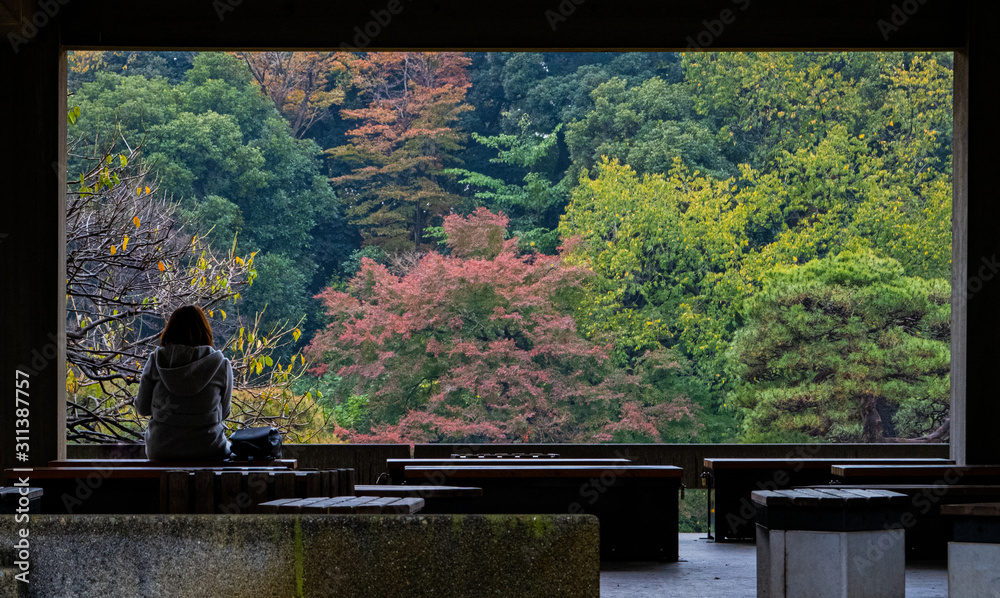 A girl is sitting to watch the Japanese garden.