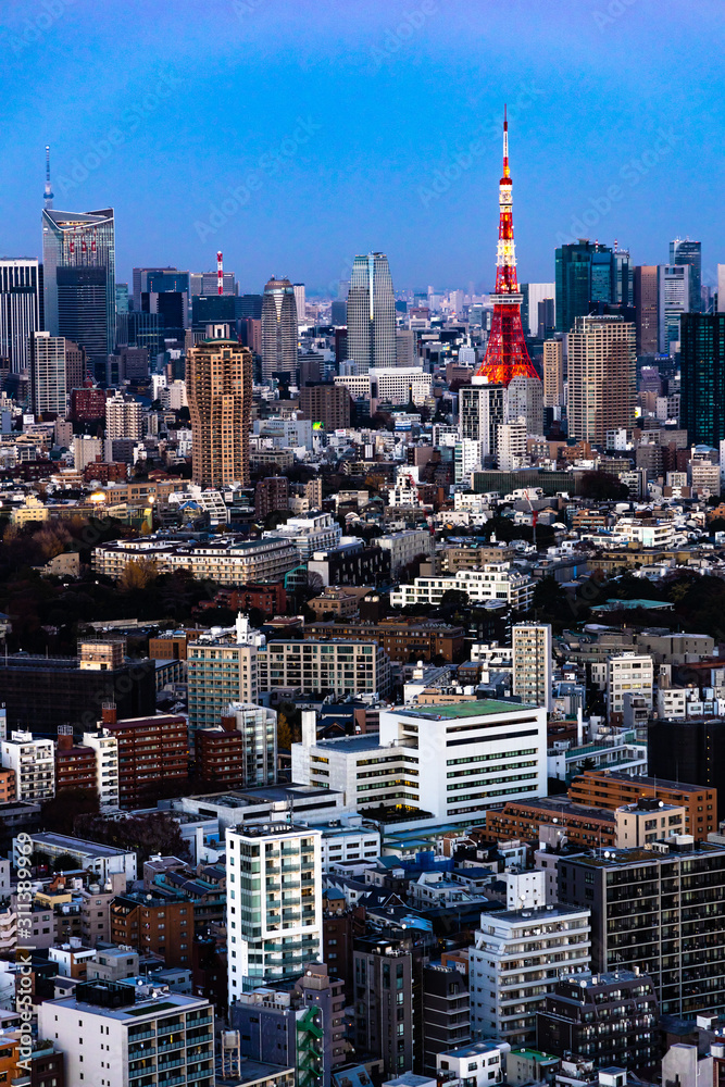 Obraz premium Tokyo city view and sky