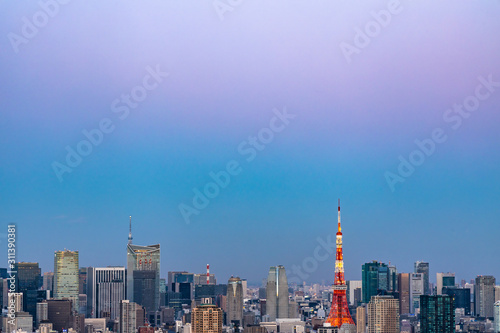 Tokyo city view and sky