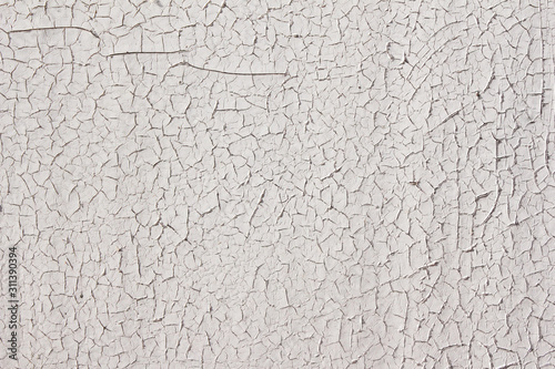 texture cracked paint like a shell