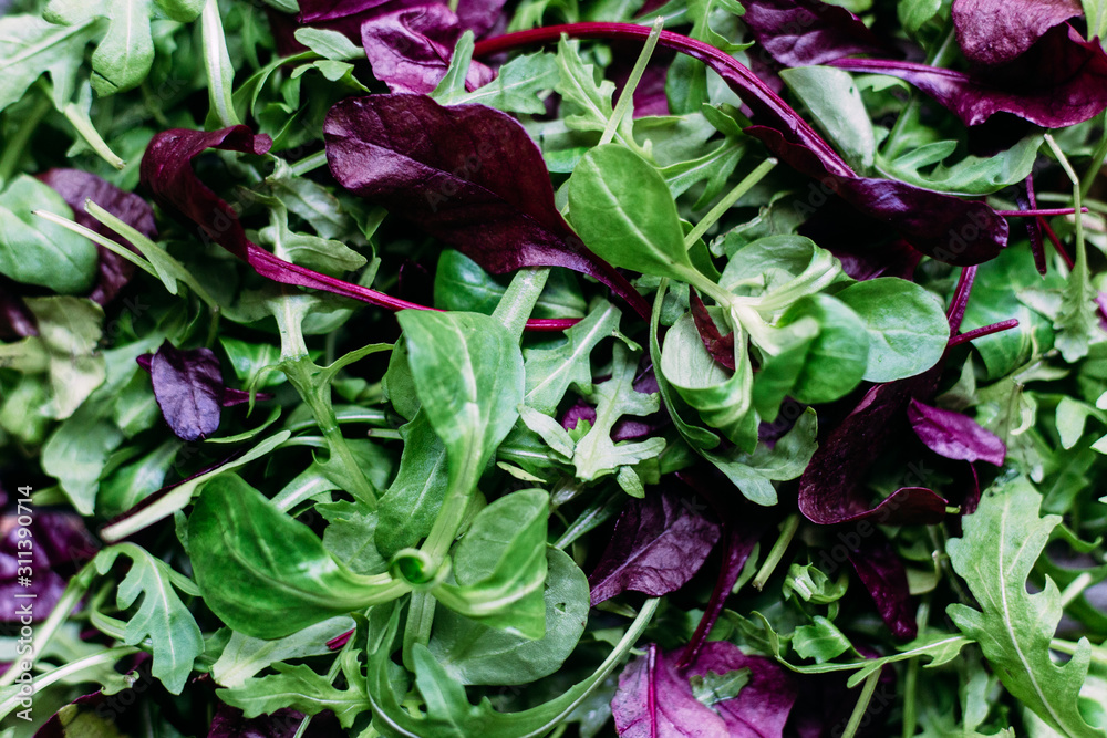Leaves of arugula and young beets. Background