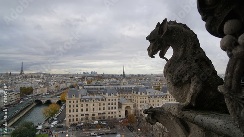 Stone gargoyle on the roof of Notre Dame Cathedral in Paris, France. Overcast weather.