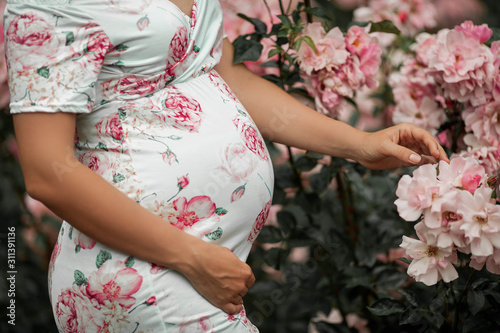 Close-up. A beautiful young pregnant woman is walking in a rose garden. Portrait of a pregnant woman in a dress. Summer.