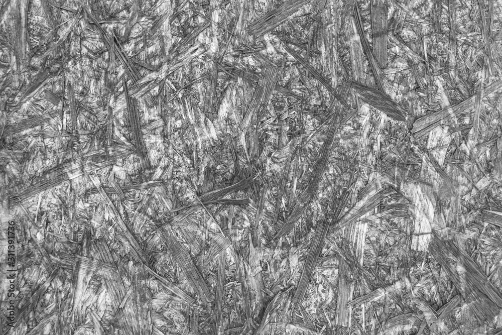 Fototapeta premium OSB