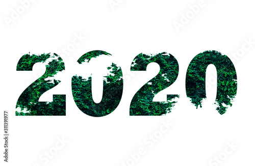 2020 number from leaves isolated on white background. Eco-friendly concept.
