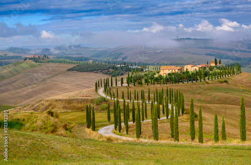 typisch Toskana, Pinienallee vor einem Bauernhof, Crete Senesi, Toskana, Italien