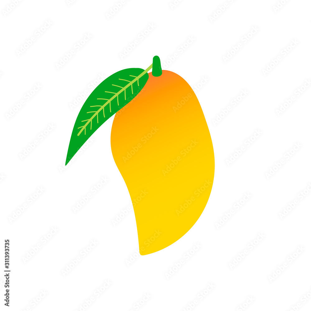 Fototapeta Vector icon, illustration of thai yellow mango fruit with leaf.
