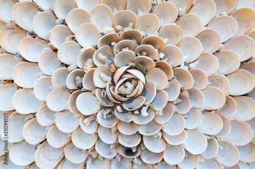 Shell art decoration at Yehli Taiwan