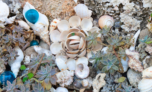 Shell Art next to Yehliu harbor