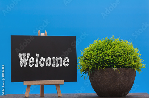 WELCOME word written on chalkboard with green plant on blue background,conceptual photo