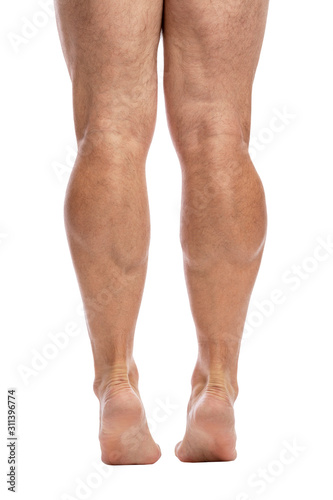 Men's legs to the knees. Back view. Isolated over white background. Vertical. © Анна Демидова