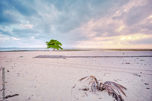 Sunrise of  Lakawon Beach at Cadiz, Negros Occidental photo