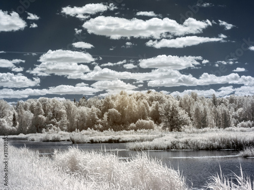 infrared photography, landscape with lake, white trees and grass
