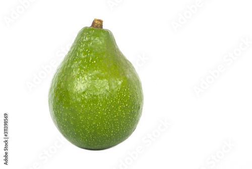 avocado fresh green isolated on white standing potrait 