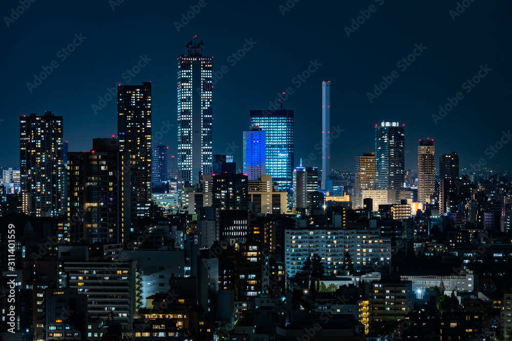 Tokyo city buildings night view and sky