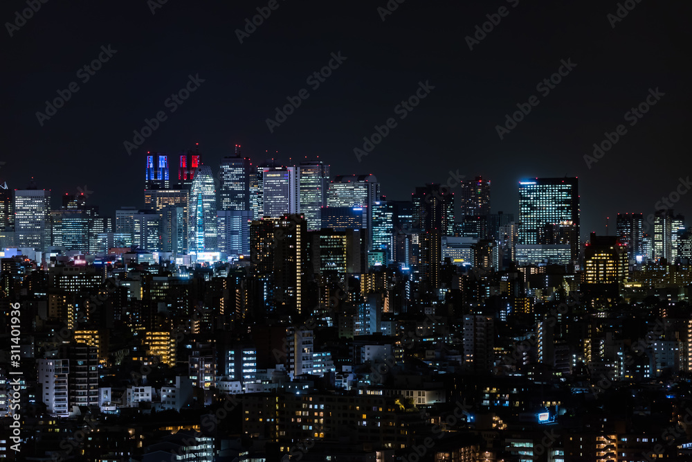 Tokyo Shinjuku city buildings night view and sky