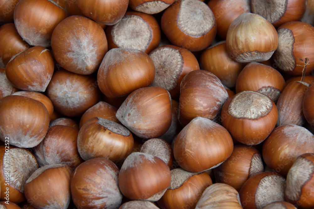 hazelnuts on wooden background hazelnuts on wooden background