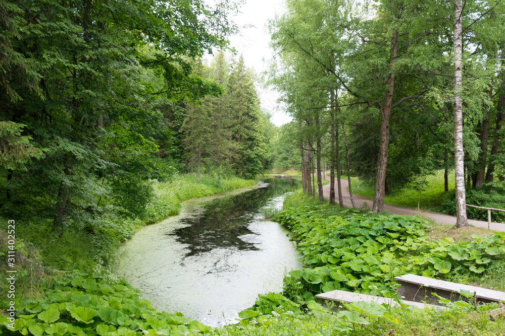 Naklejka premium lake in Pavlovsk Park near St. Petersburg