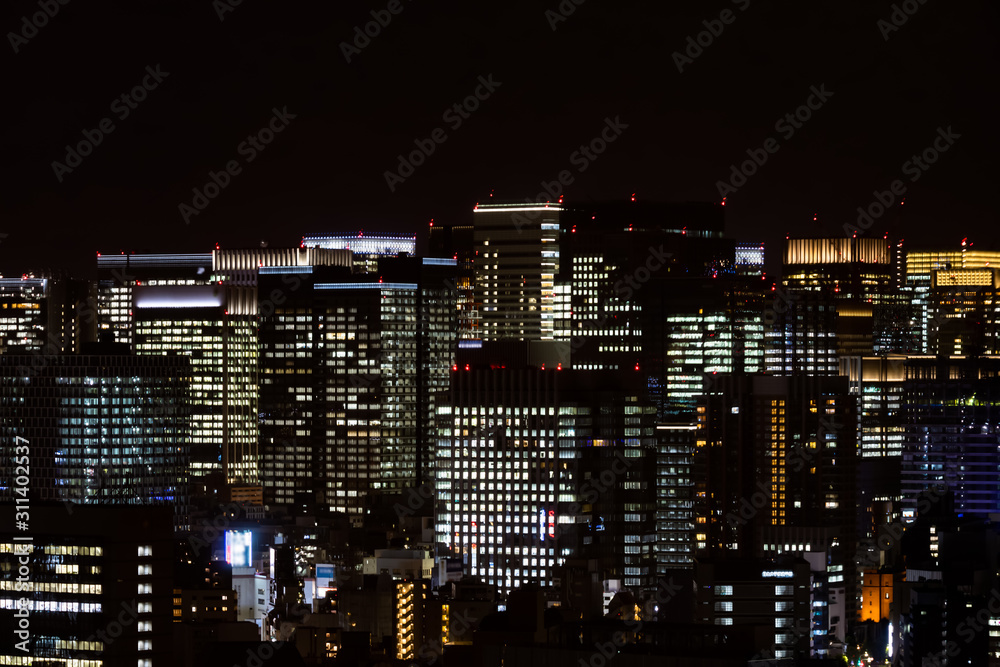 Tokyo city buildings night view and sky