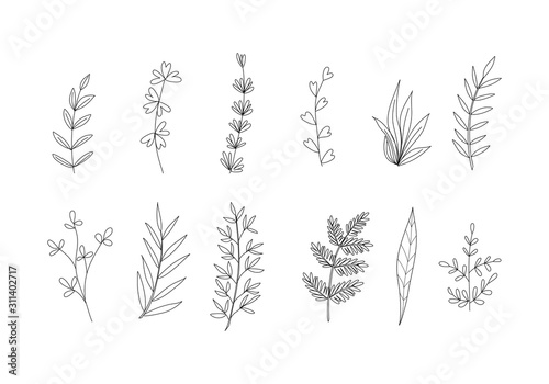 set of leaves line drawing isolated on white background