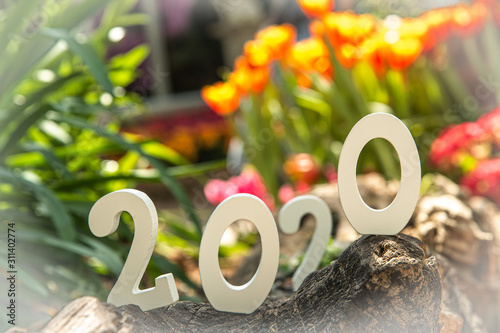 Happy New Year 2020 concept. Close up numberal 2020 white wooden letters on stone with green blurred and flowers background.  photo