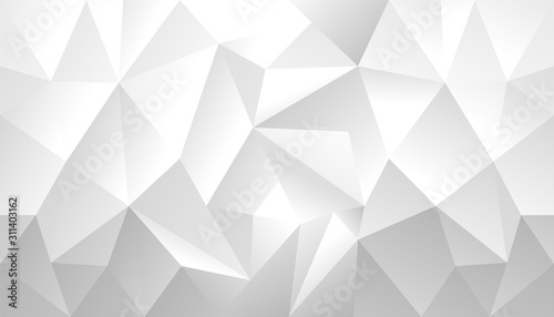 Vector abstract white polygonal background. To see the other vector geometric background illustrations , please check Abstract Polygonal Backgrounds collection.