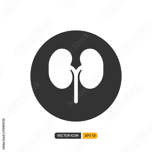 kidney icon in glyph style. Vector logo design template. Modern design icon, symbol, logo and illustration. Vector graphics illustration and editable stroke. Isolated on white background.