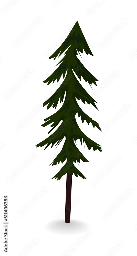 Forest spruce. single icon in flat style. Forest spruce. single icon in flat style.