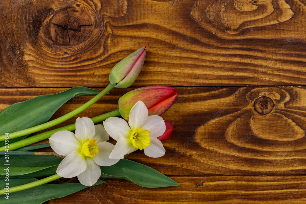 Fototapeta premium Bouquet of daffodils and red tulips on wooden background. Greeting card for Easter, Valentine's Day, Women's Day and Mother's Day. Top view, copy space