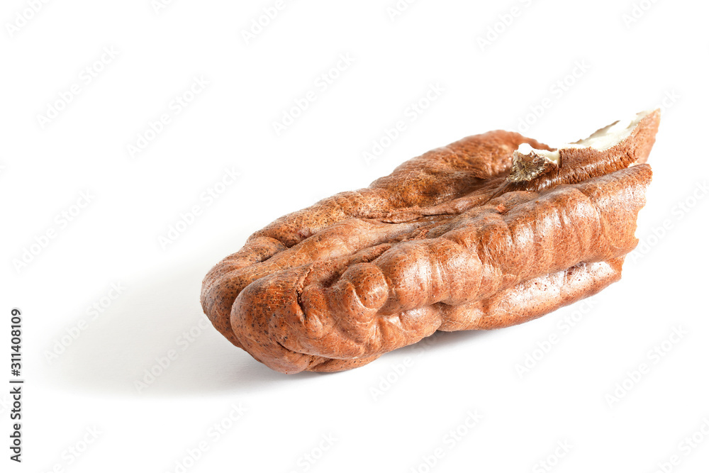 Opened pecan nut kernel without shell isolated on white background, closeup detail Opened pecan nut kernel without shell isolated on white background, closeup detail
