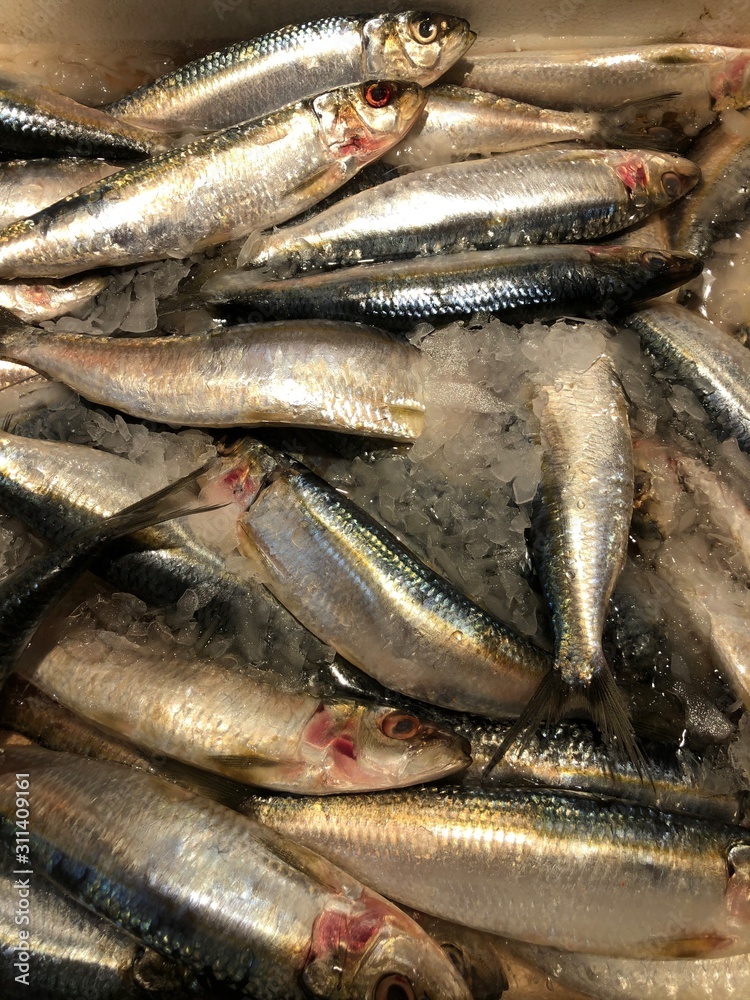 Obraz premium fresh fish on ice at the market