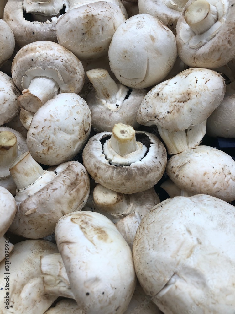 fresh mushrooms on a cutting board fresh mushrooms on a cutting board