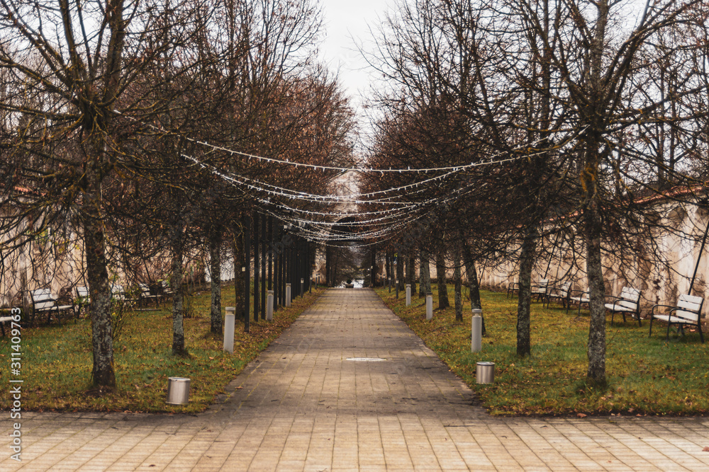 Obraz premium path in the park